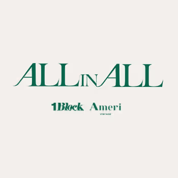 Ameri VINTAGE x 1BLOCK
