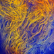 Swirl Abstraction by Nona