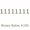 Binary Bytes