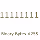 Binary Bytes