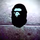 bape not bape