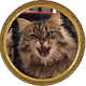 EZIO