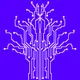 Lympha Project - old