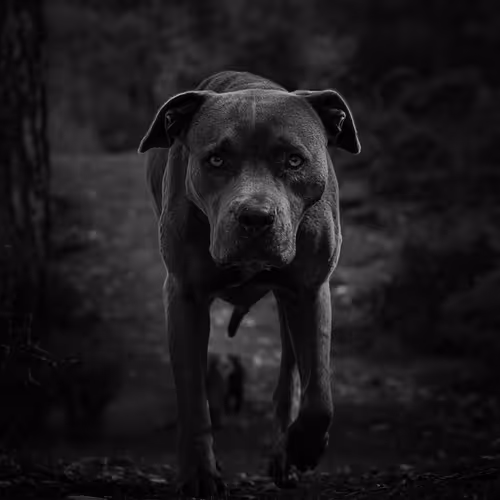 CHAPTER I - SHARING LIFE - MOMENTS