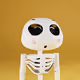 Mr.Bob The Skeleton