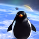 Wonder Space Zoo