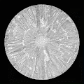The Architecture of Cells