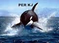 PERK J