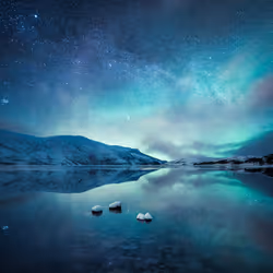 Mikko Lagerstedt Editions
