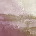 Abstract W collection