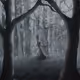 Desires of the Forest