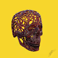 The Dark skulls