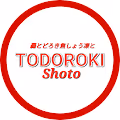 T O D O R O K I  Shoto