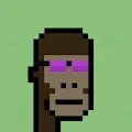 Primate Punks