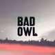 BAD OWL - What You Make It (Kinney + Kolars)