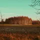 For you by Vildsun