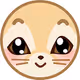 Fennec fox - old