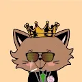 Amazing Cat