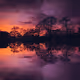 Reflections On Life - old