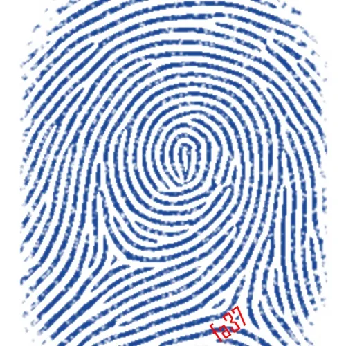 SHA-256 fingerprints