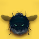 Death face bee - old