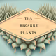 THA BIZARRE PLANTS