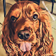 Milo - CockerSpaniel Art