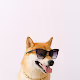 Doge Party - old