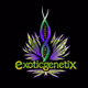 Exotic Genetix 4EVER Club V1