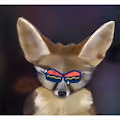 Stylish Fennec Foxes