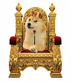 The Snoop Doge - old