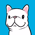 Boo The French Bulldog