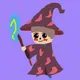 MICLADY WIZARDS
