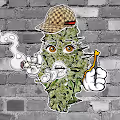 Bud Head Hood Girls