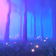 Solitude's Realm