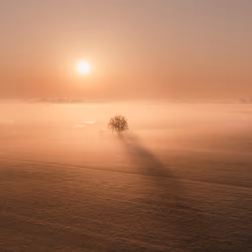 Nick de Jonge Editions