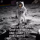 Beeple Moonmission