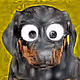 VanDogz