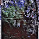 Collage by KunTa