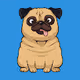 Pug In Costume
