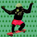 Skateboarding Ape Club