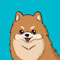 Baby Doge Pom