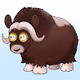 animal people of doge