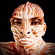 META FACTIONS V2 BY PAGESVFX (FREE MINT)