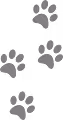Cats Cats Cats!