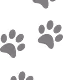 Cats Cats Cats!