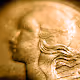 MacroCoinSeries