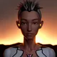 The Human Cyborg