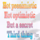 Pleasant Posters