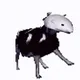 CowFrankFrankMoo